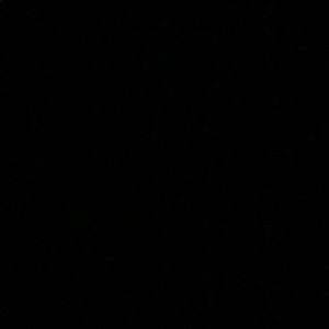 Meet your Posher, Georgia